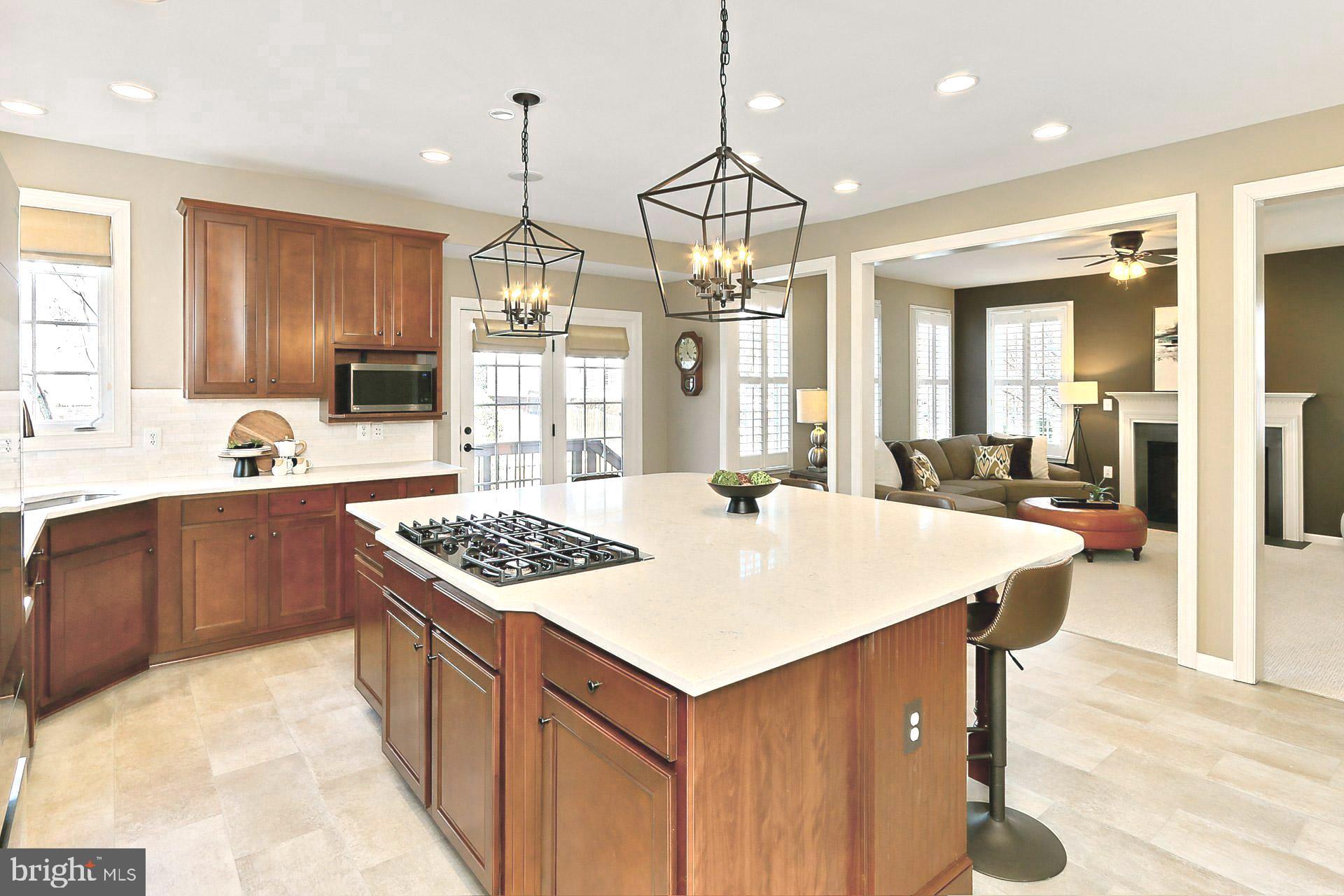 42440 Spring Splendor Drive Brambleton, VA 20148 - Photo 10 of 69 Magnificent New Kitchen Island!!!