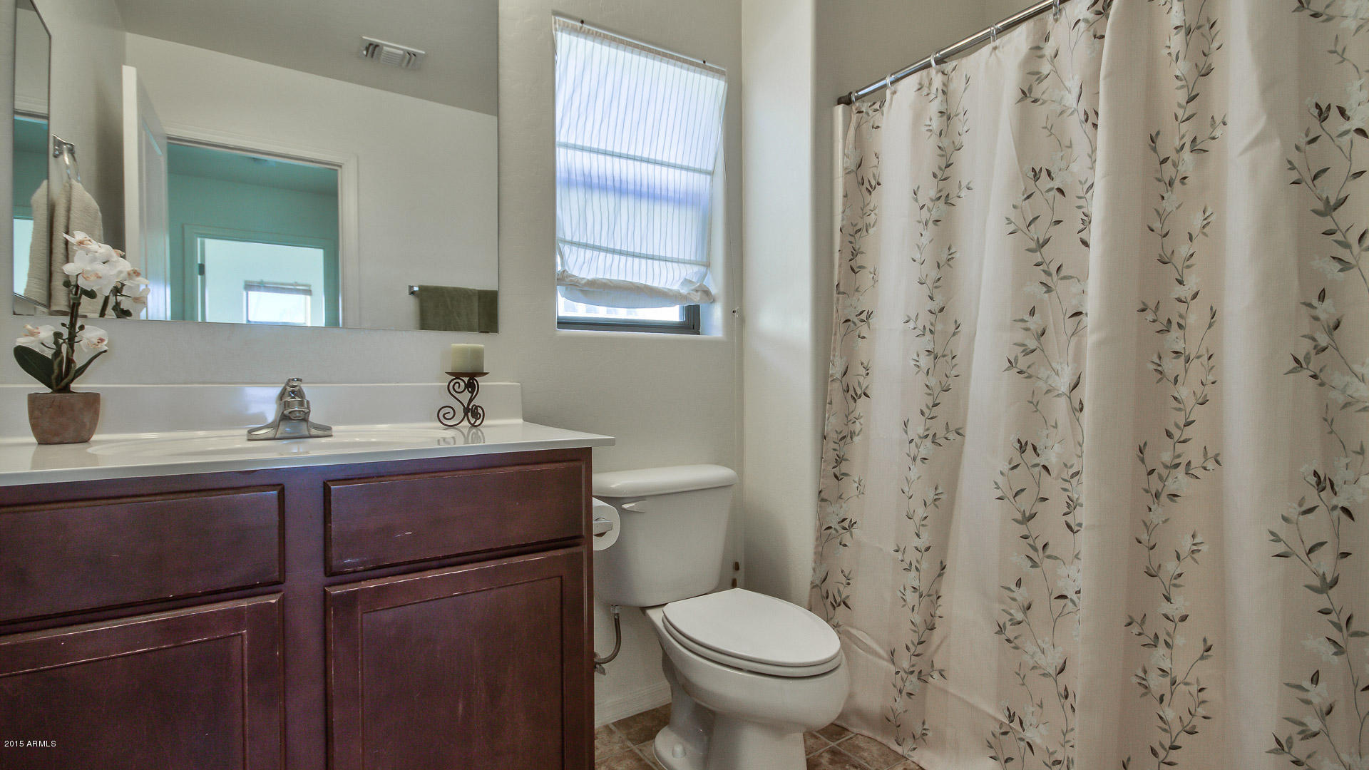 3941 South Rim Road Gilbert, AZ 85297 - Photo 14 of 29 Guest bath