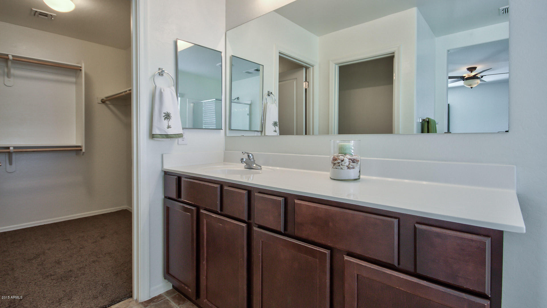 3941 South Rim Road Gilbert, AZ 85297 - Photo 19 of 29 Master Bathroom