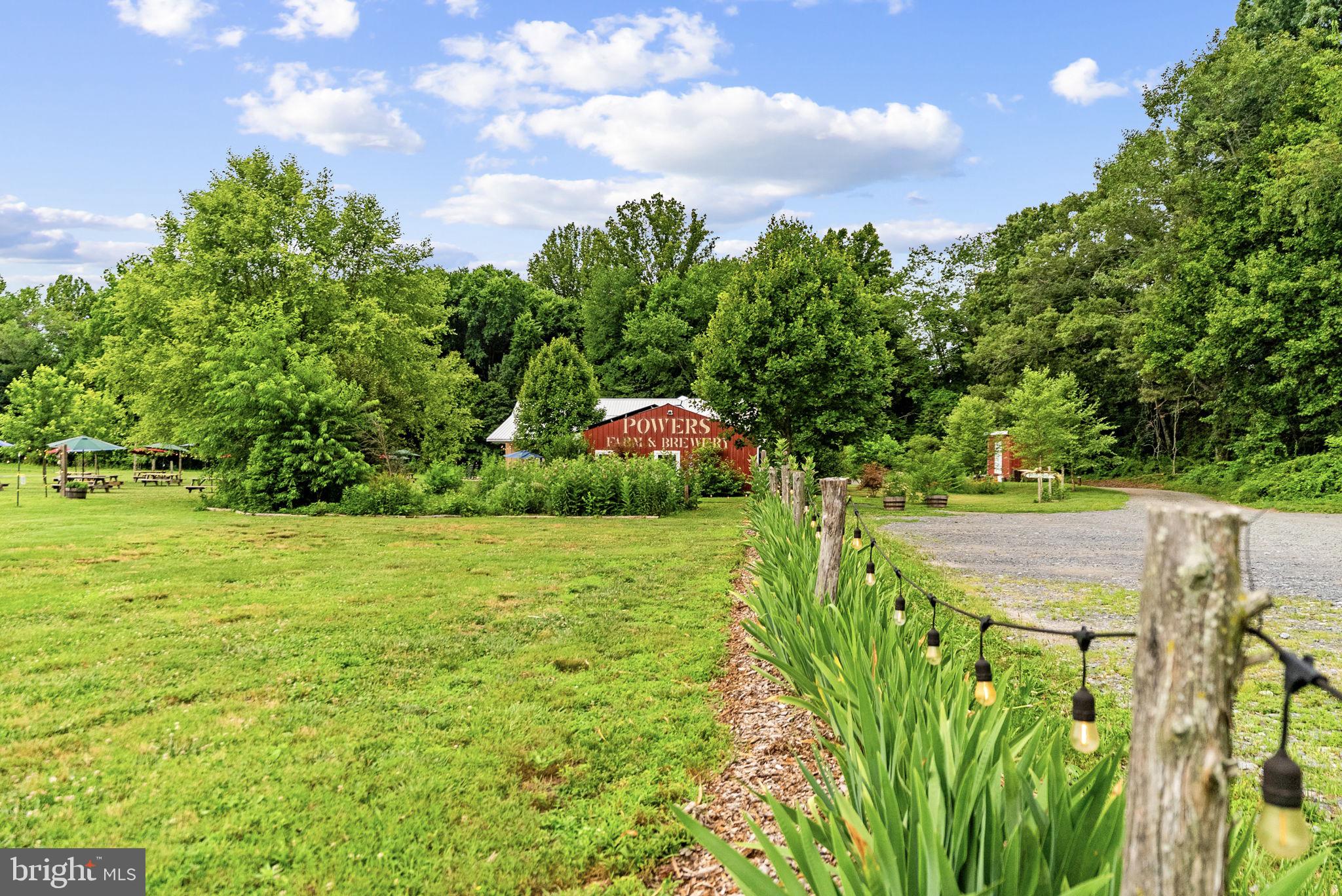 9269 Redemption Way Midland, VA 22728 - Photo 5 of 24