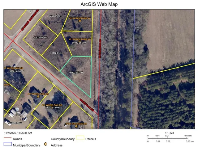 $22,800 | Tbd North Railroad Avenue, Johnsonville, SC 29555