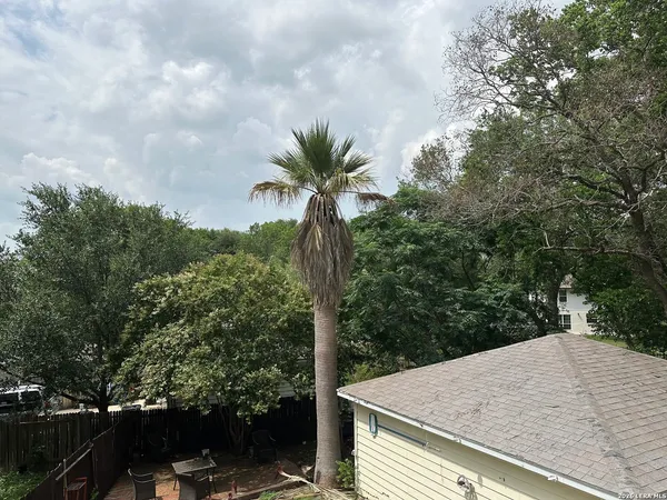 a view of a backyard