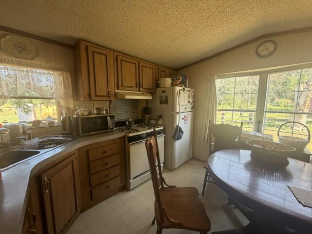 2045 South Hill Road Baldwin, MI 49304 - Photo 23 of 35 IMG_7464