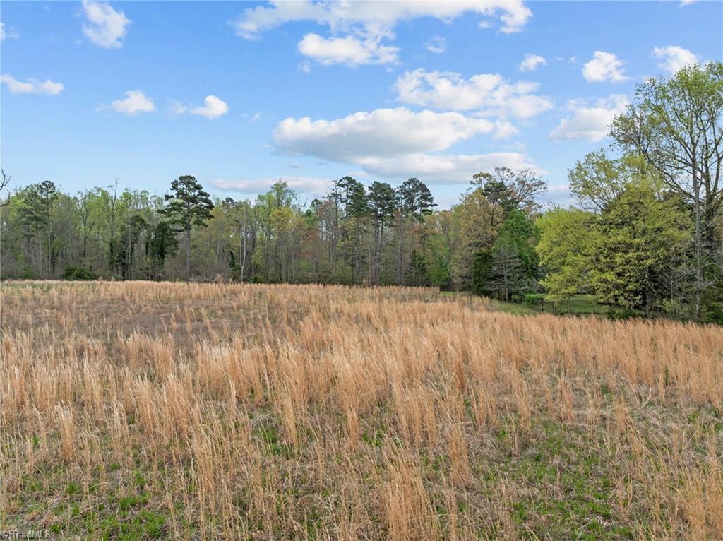 4728 Sandy Camp Road High Point, NC 27265 - Photo 6 of 8