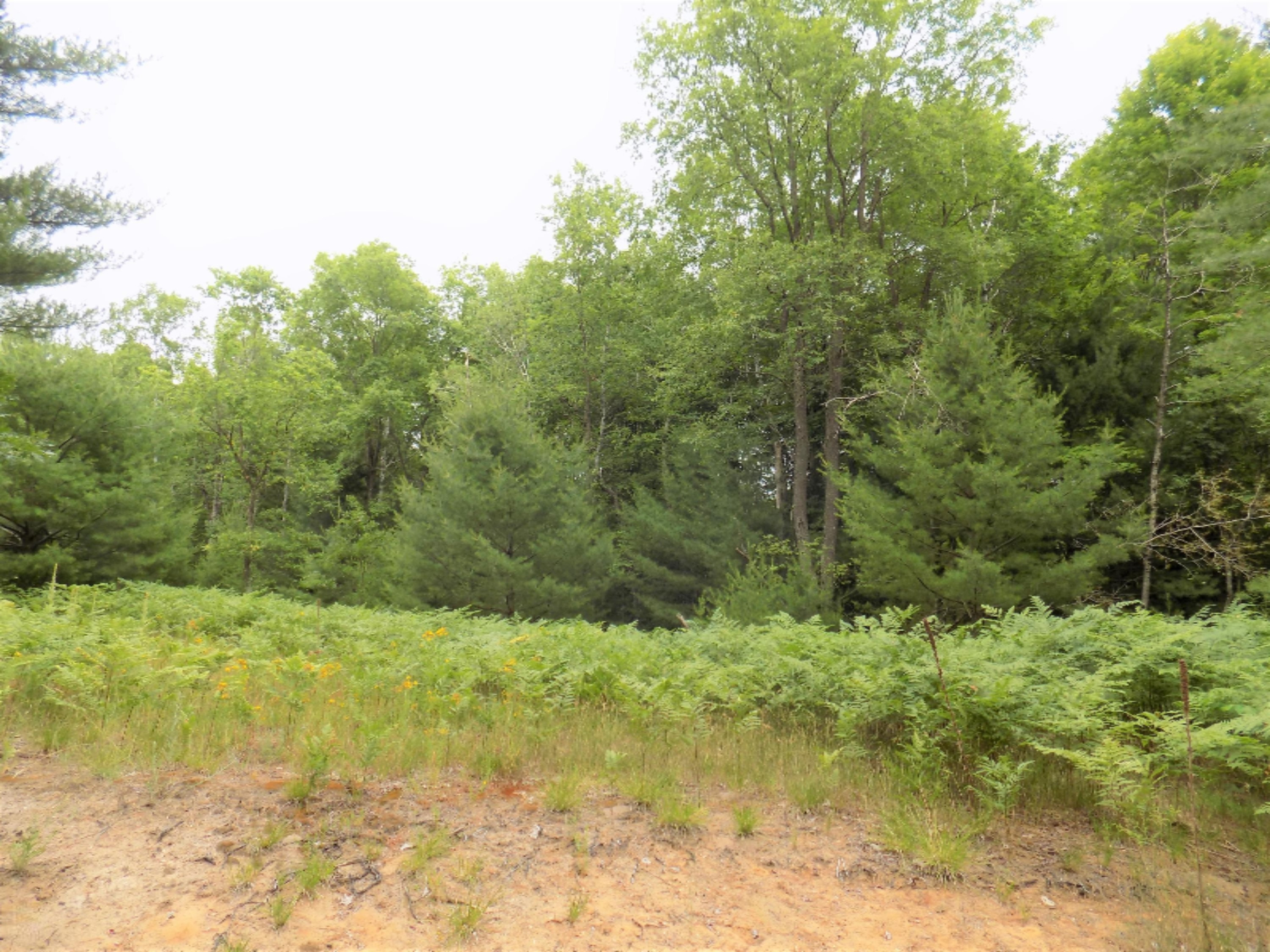 8249 Wilson Road Kaleva, MI 49645 - Photo 13 of 56 DSCN3556