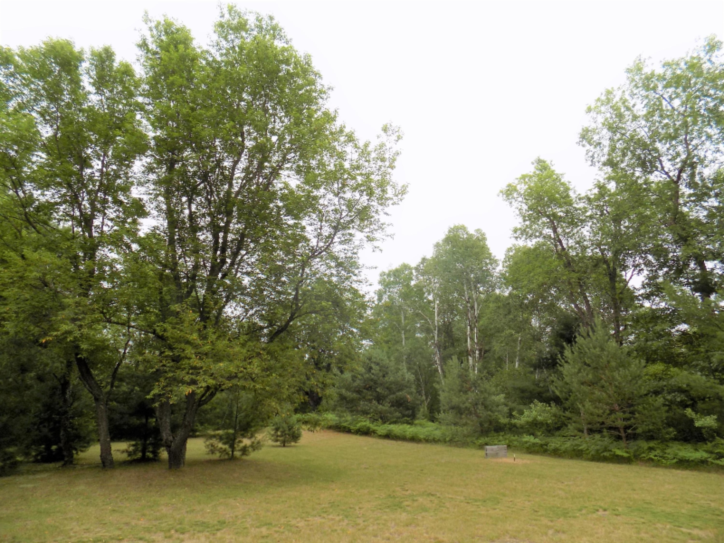 8249 Wilson Road Kaleva, MI 49645 - Photo 15 of 56 DSCN3558