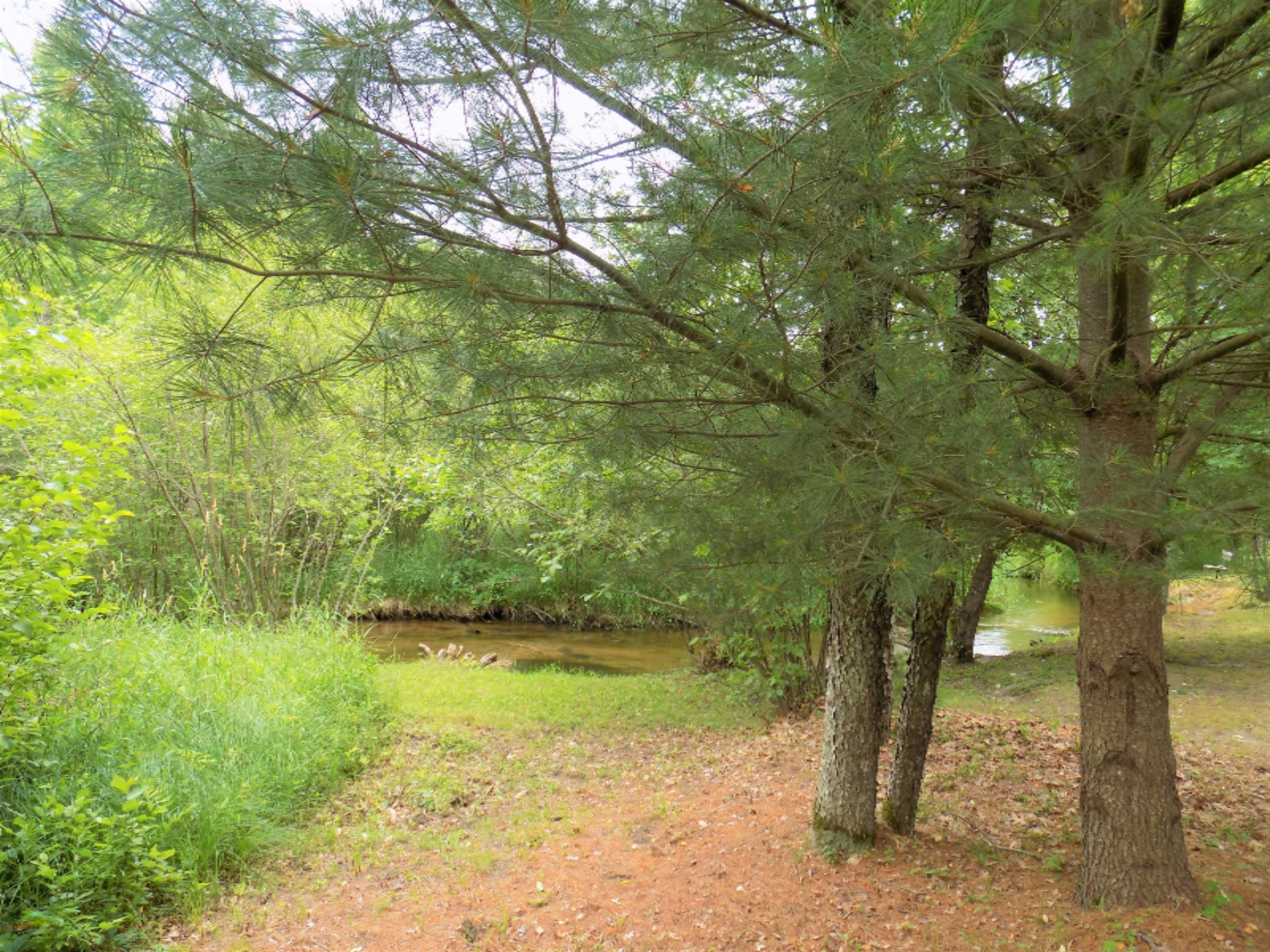 8249 Wilson Road Kaleva, MI 49645 - Photo 17 of 56 DSCN3560