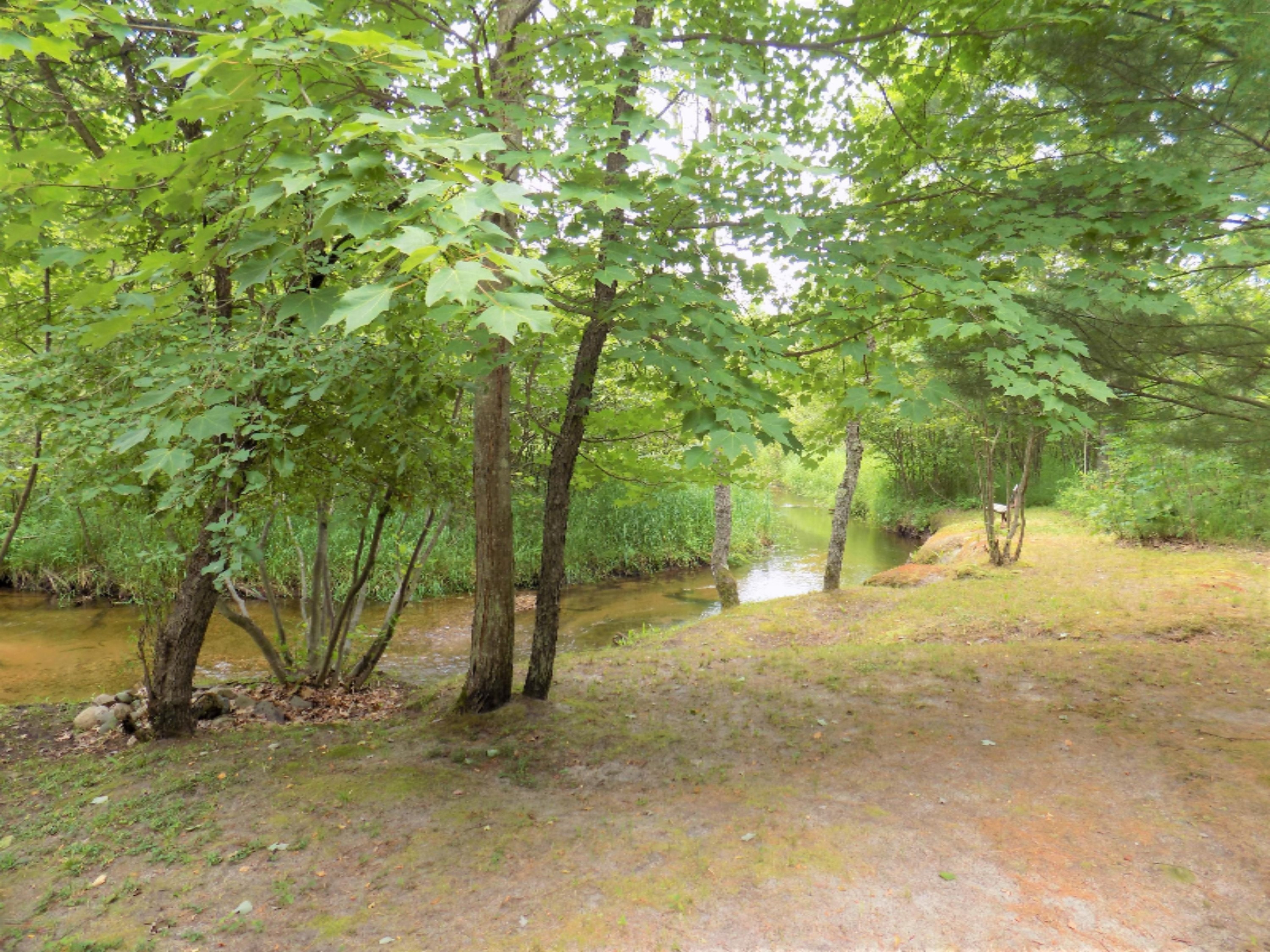8249 Wilson Road Kaleva, MI 49645 - Photo 18 of 56 DSCN3561