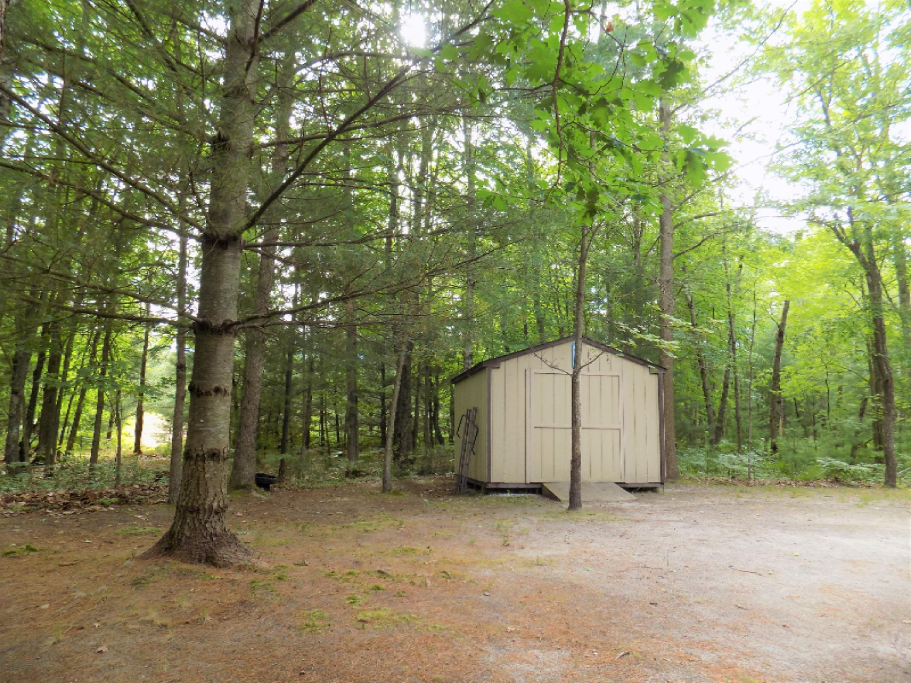 8249 Wilson Road Kaleva, MI 49645 - Photo 23 of 56 DSCN3569