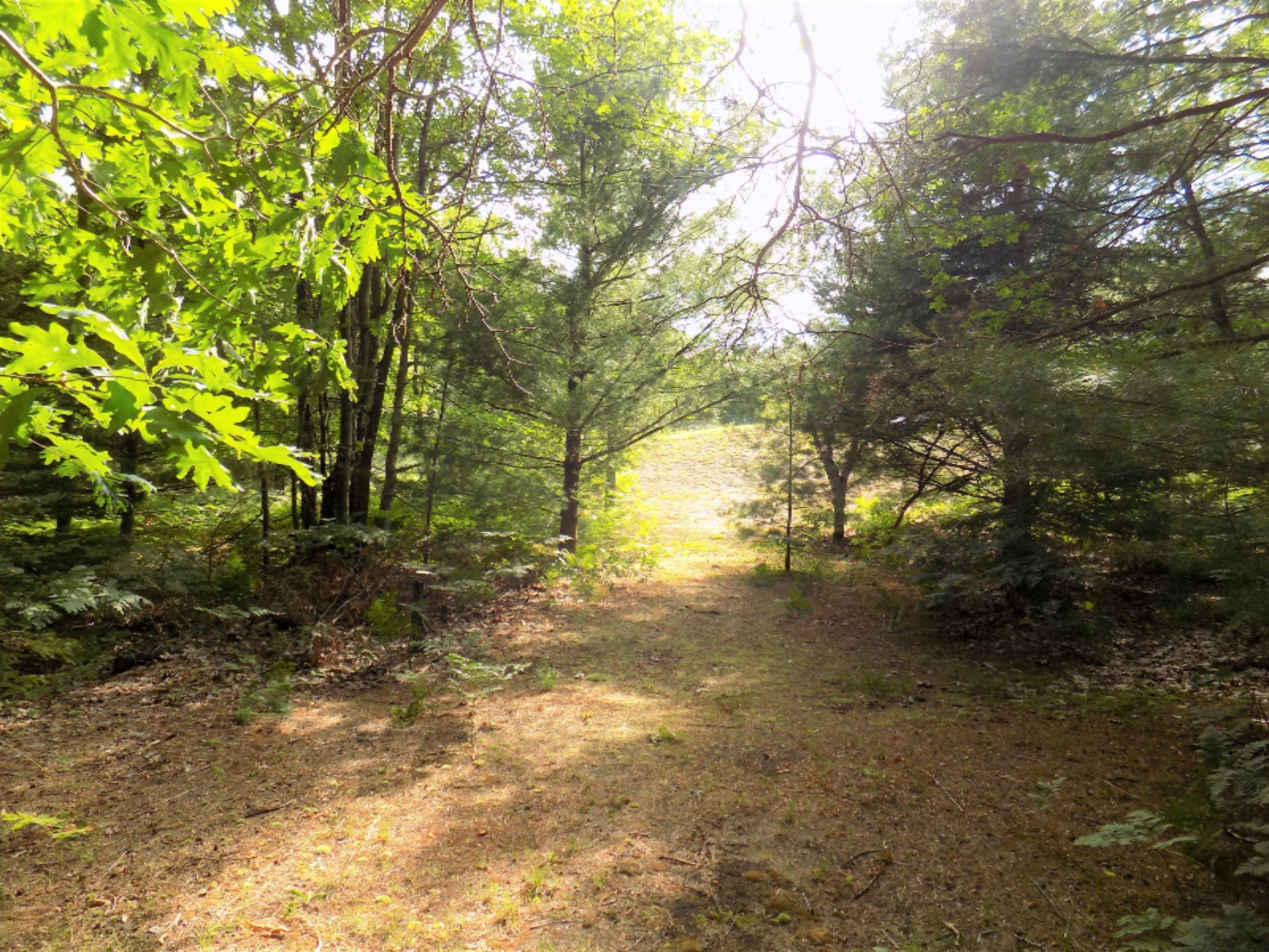 8249 Wilson Road Kaleva, MI 49645 - Photo 29 of 56 DSCN3576