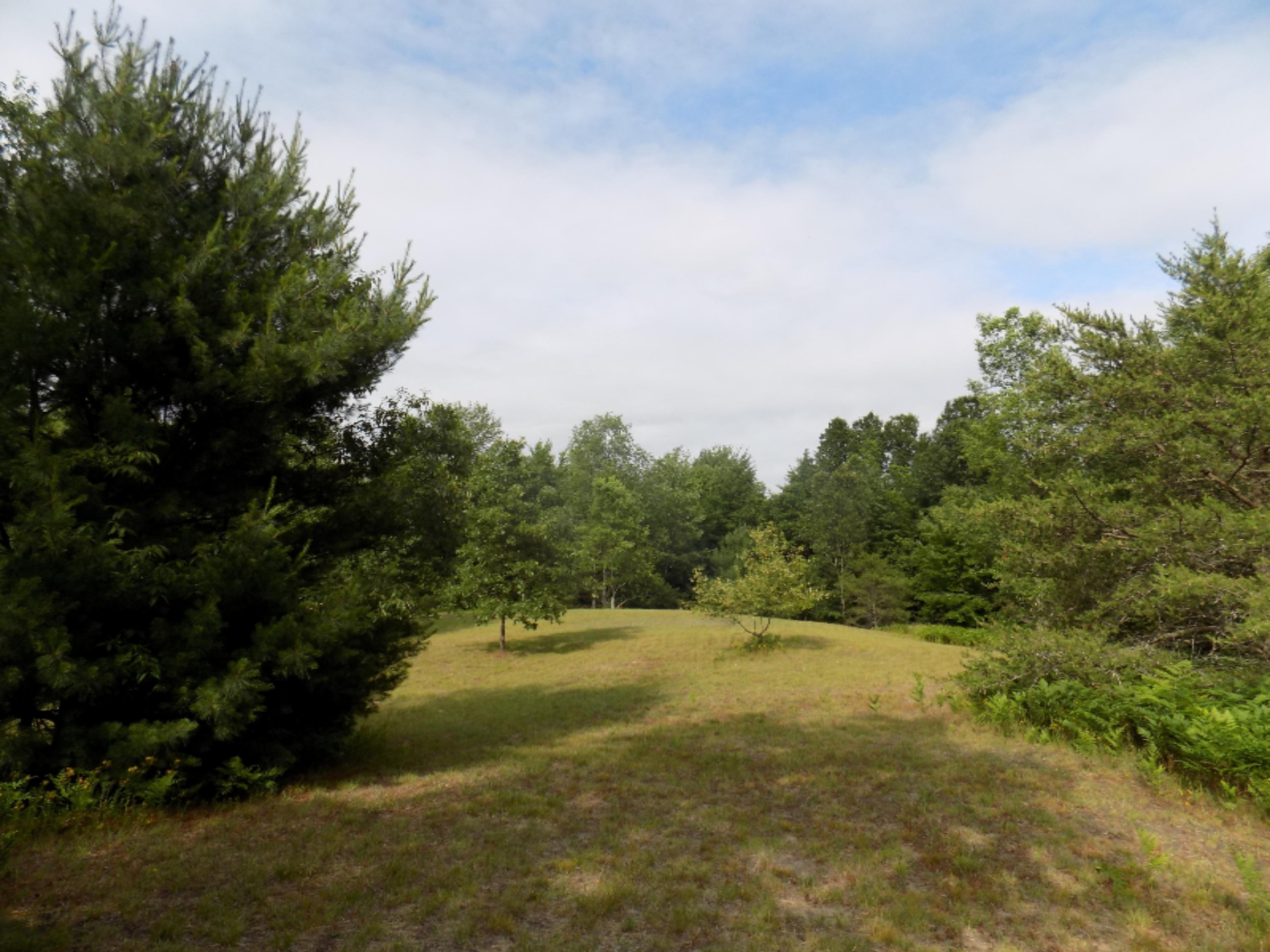 8249 Wilson Road Kaleva, MI 49645 - Photo 35 of 56 DSCN3582