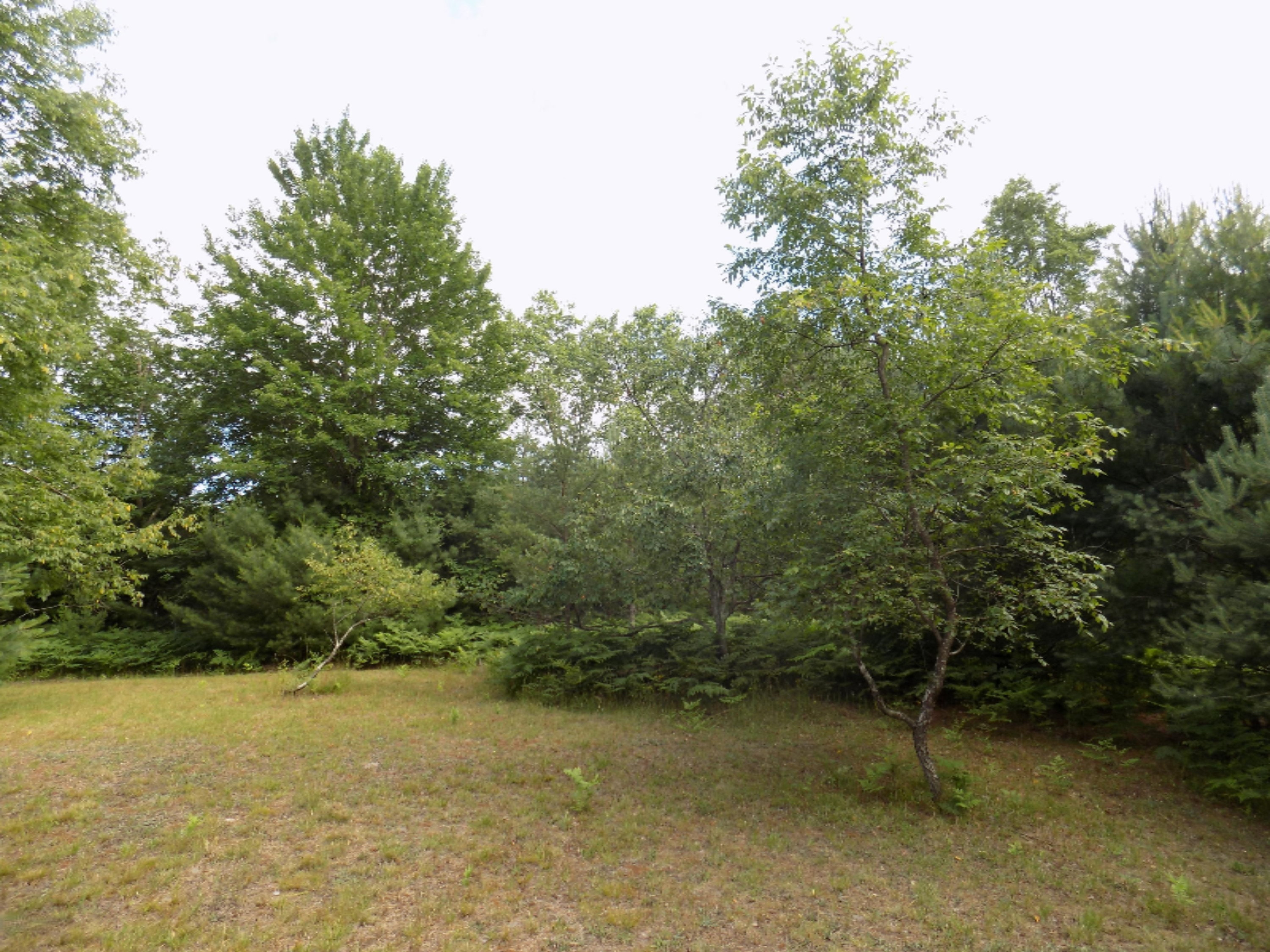8249 Wilson Road Kaleva, MI 49645 - Photo 39 of 56 DSCN3586