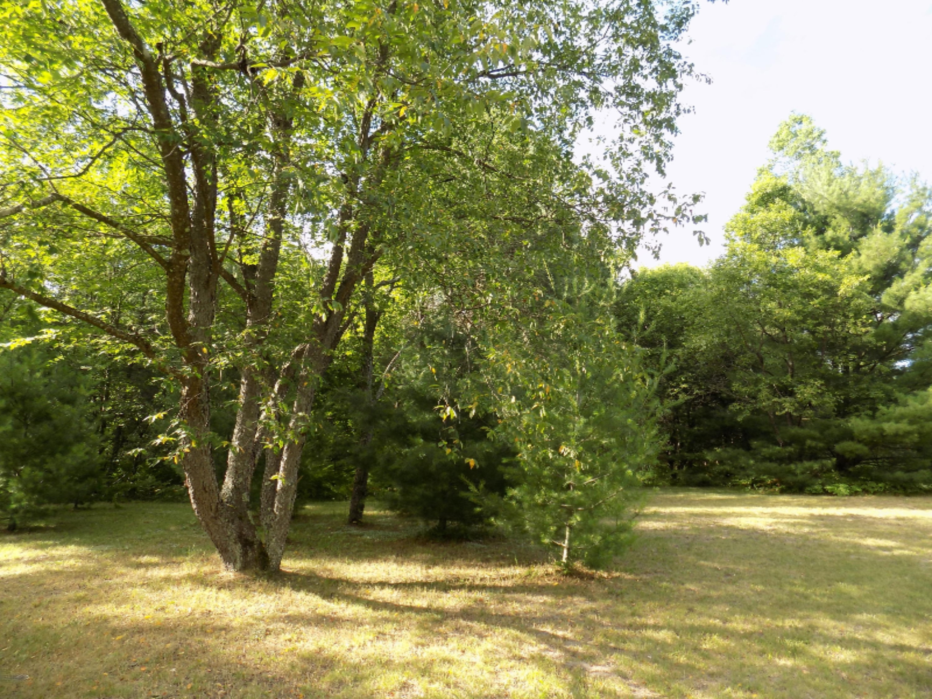 8249 Wilson Road Kaleva, MI 49645 - Photo 55 of 56 DSCN3594