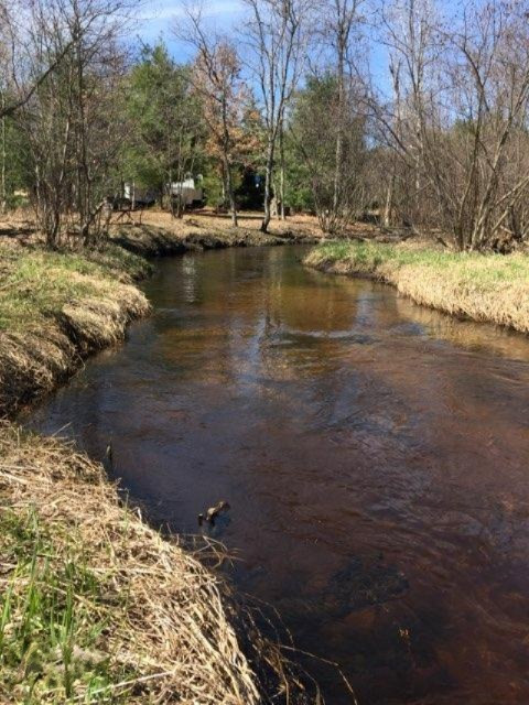 8249 Wilson Road Kaleva, MI 49645 - Photo 7 of 56 CEF2C93B-001