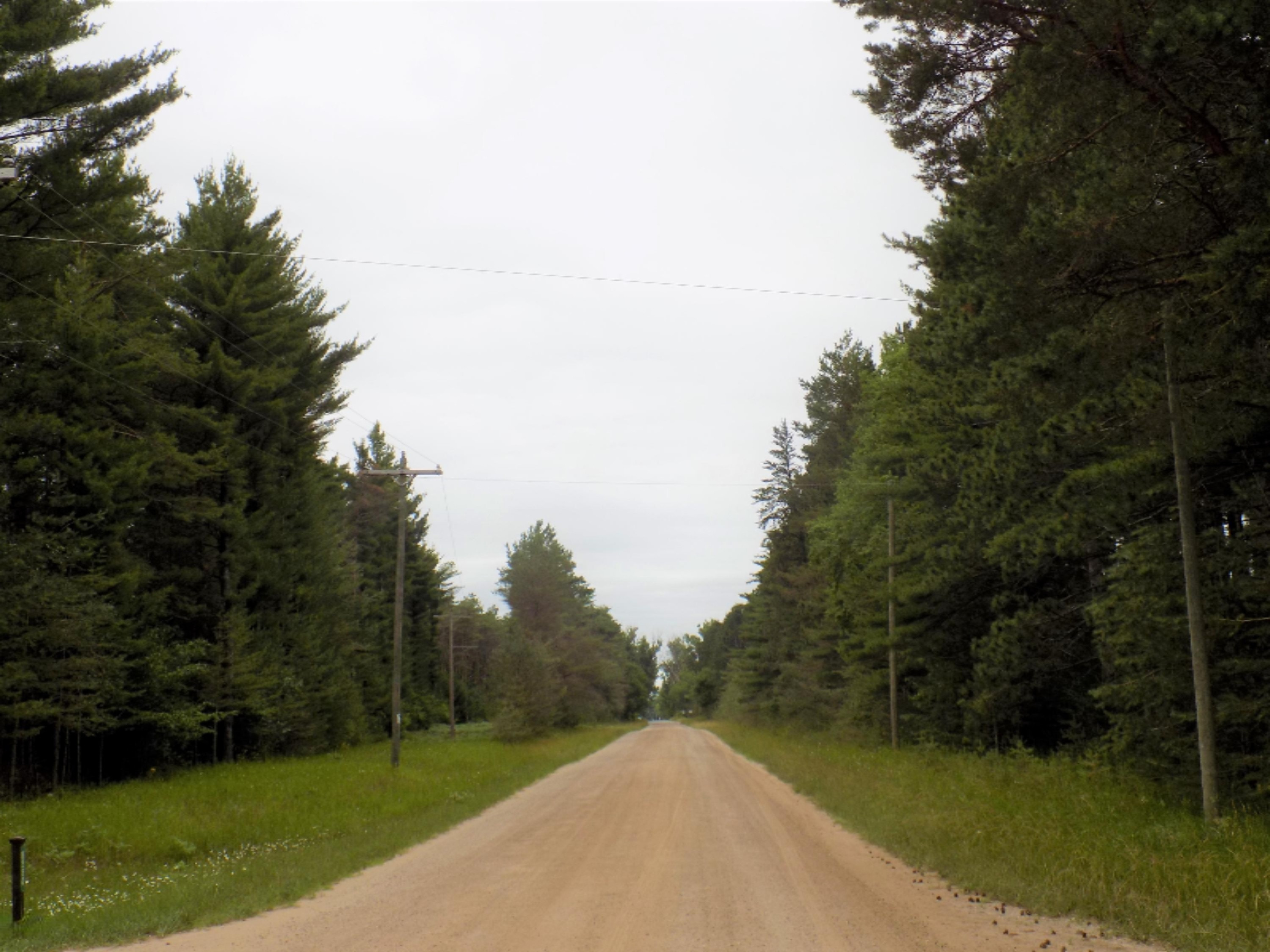 8249 Wilson Road Kaleva, MI 49645 - Photo 10 of 56 DSCN3553