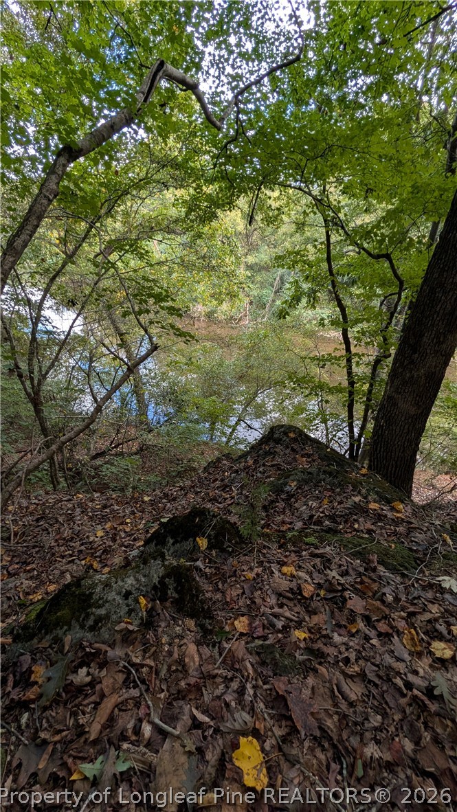 Lot 5 Capelsie Road Candor, NC 27229 - Photo 10 of 12 Gallery Image 10