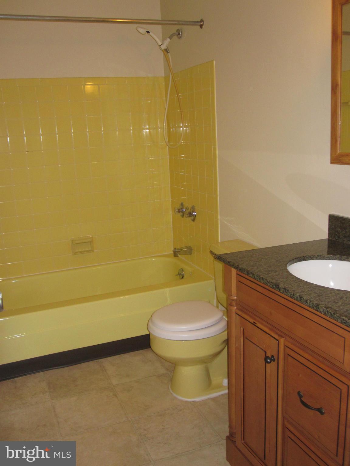 10916 Rock Coast Road Columbia, MD 21044 - Photo 9 of 25 Bath