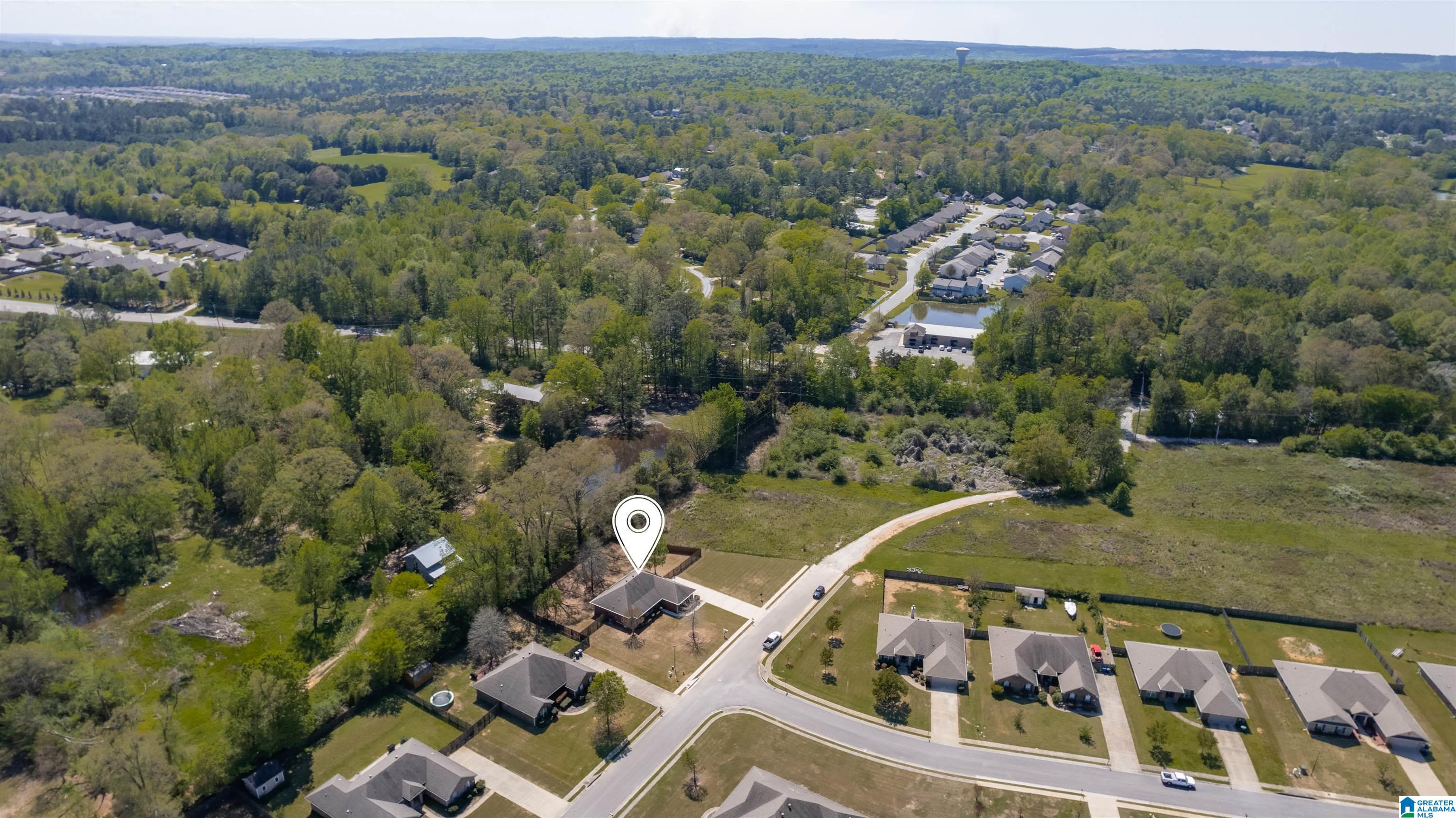 1177 Silver Creek Lane Alabaster, AL 35007 - Photo 47 of 50