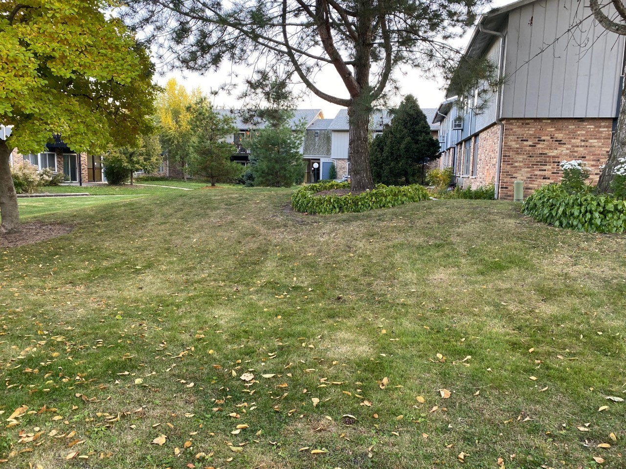 906 East Old Willow Road, Unit 104 Prospect Heights, IL 60070 - Photo 3 of 20 a view of a backyard with large trees