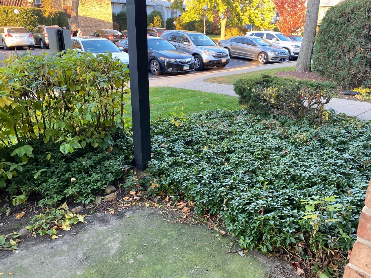 906 East Old Willow Road, Unit 104 Prospect Heights, IL 60070 - Photo 4 of 20 a view of a yard in front of a building
