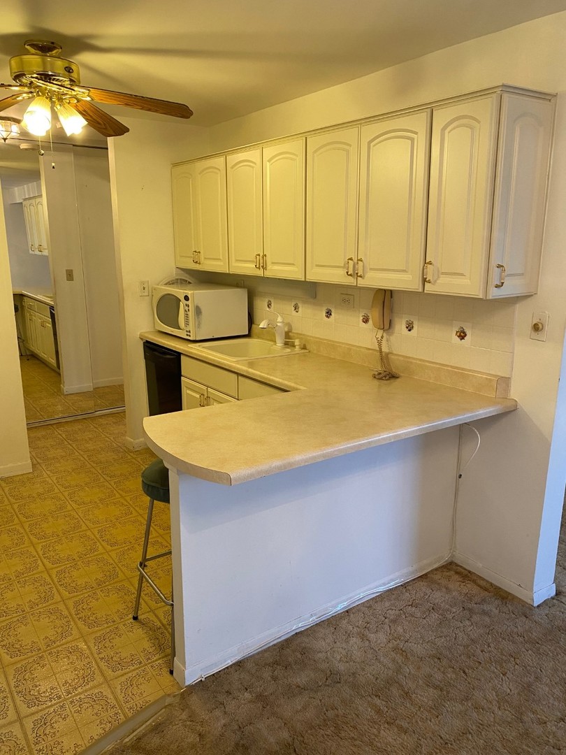 906 East Old Willow Road, Unit 104 Prospect Heights, IL 60070 - Photo 6 of 20