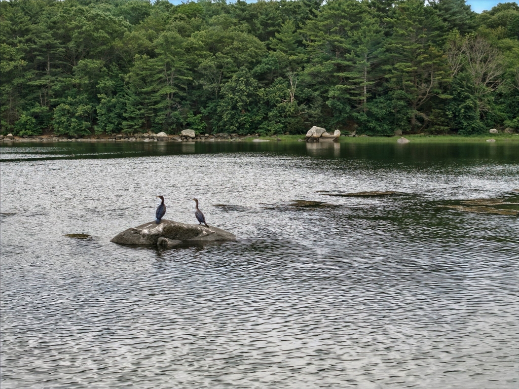 672 Washington Street Gloucester, MA 01930 - Photo 26 of 27 a view of a lake