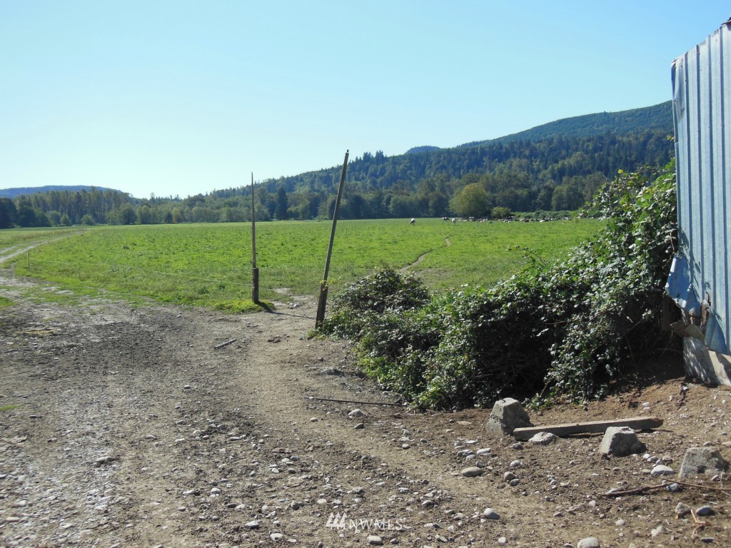 28408 Fern Bluff Road Monroe, WA 98272 - Photo 16 of 22 a view of a field with a tree in a yard