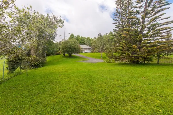 a view of a yard with large trees