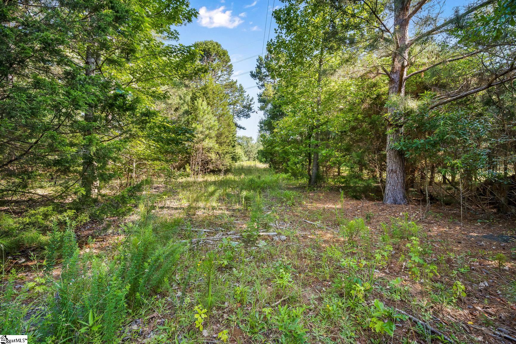 360 Forksville Road Honea Path, SC 29654 - Photo 8 of 18