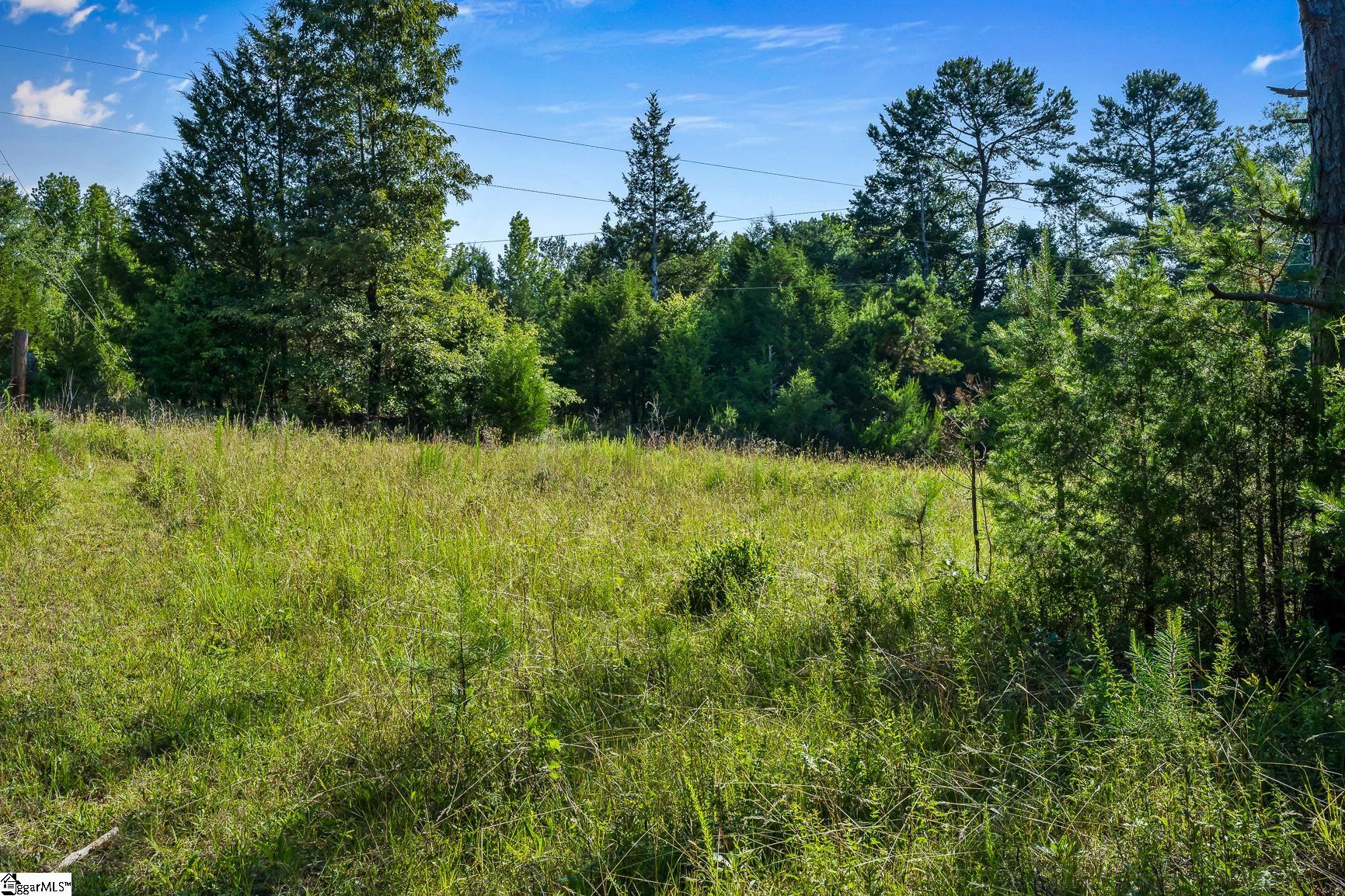 360 Forksville Road Honea Path, SC 29654 - Photo 9 of 18