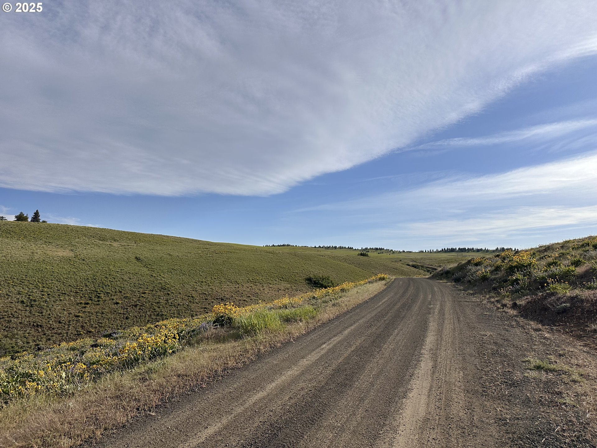 Schilling Road Lyle, WA 98635 - Photo 11 of 27