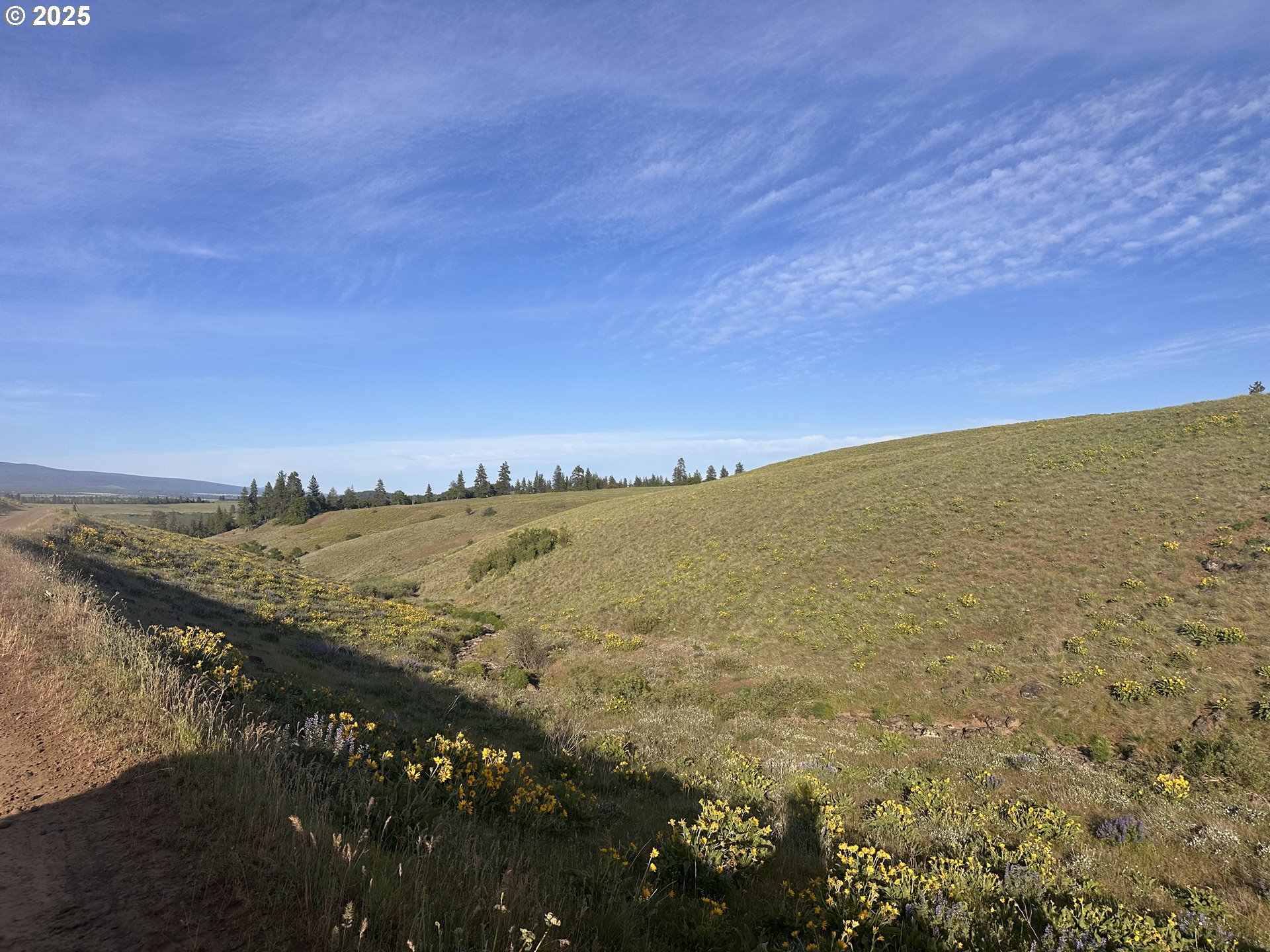 Schilling Road Lyle, WA 98635 - Photo 12 of 27