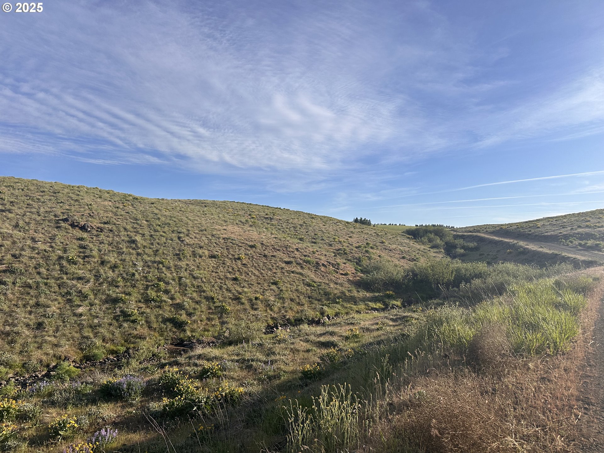 Schilling Road Lyle, WA 98635 - Photo 13 of 27