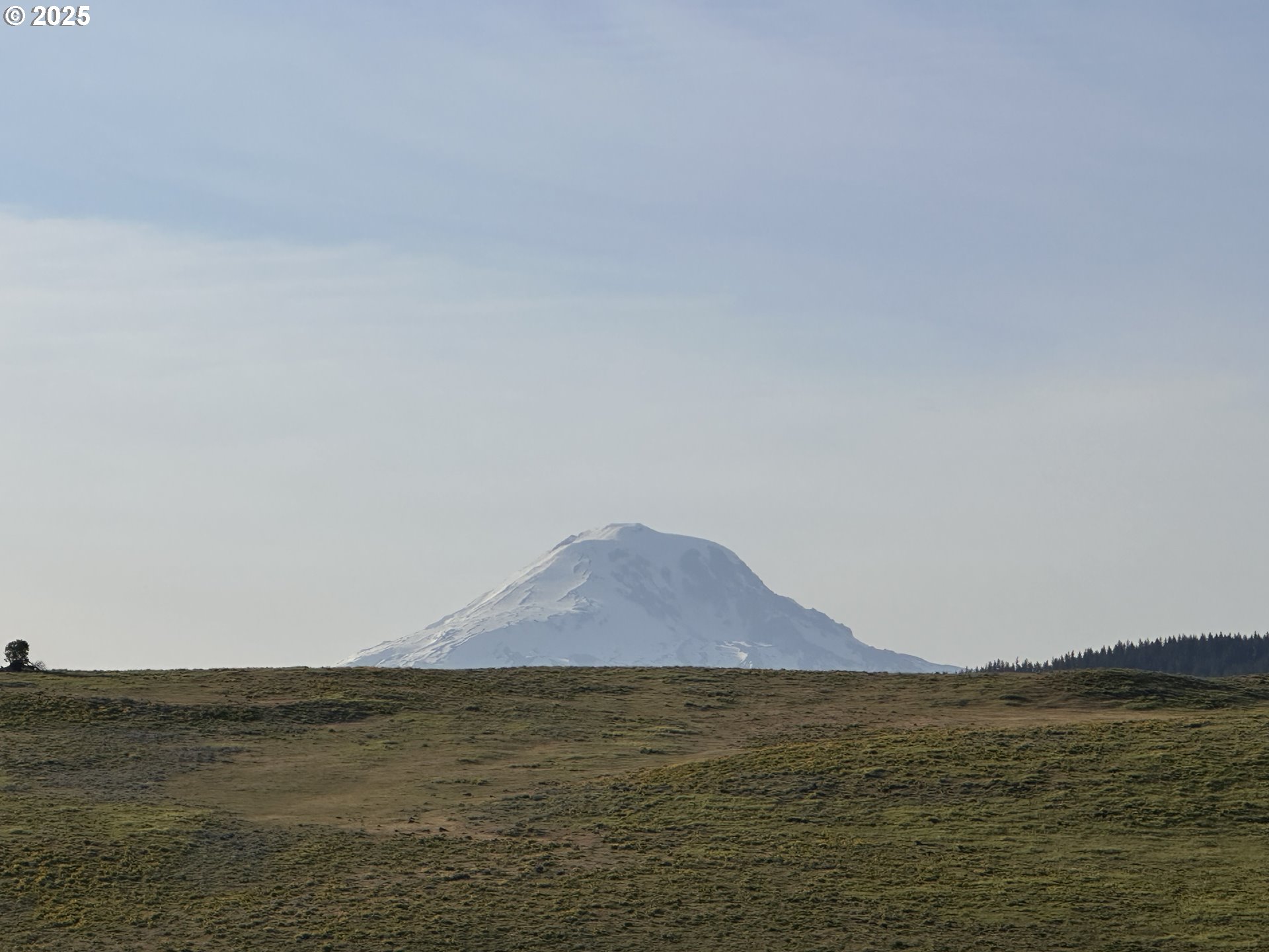 Schilling Road Lyle, WA 98635 - Photo 15 of 27