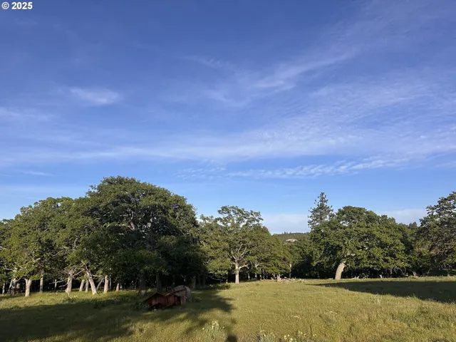 a view of a lake with a yard