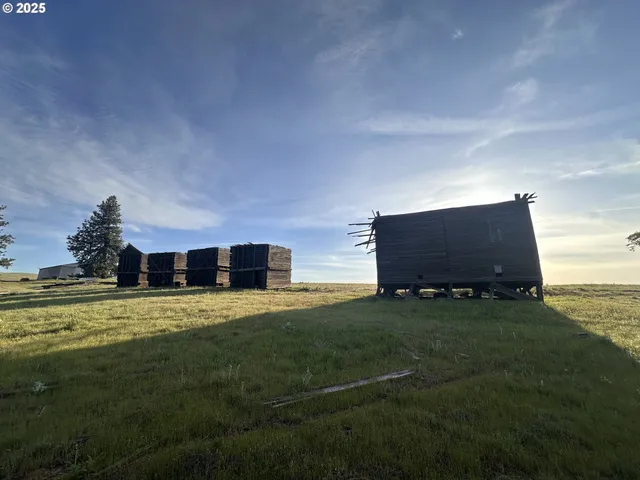 a view of a big room with a big yard and large trees