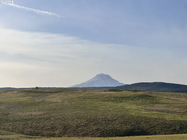 a view of beach and ocean