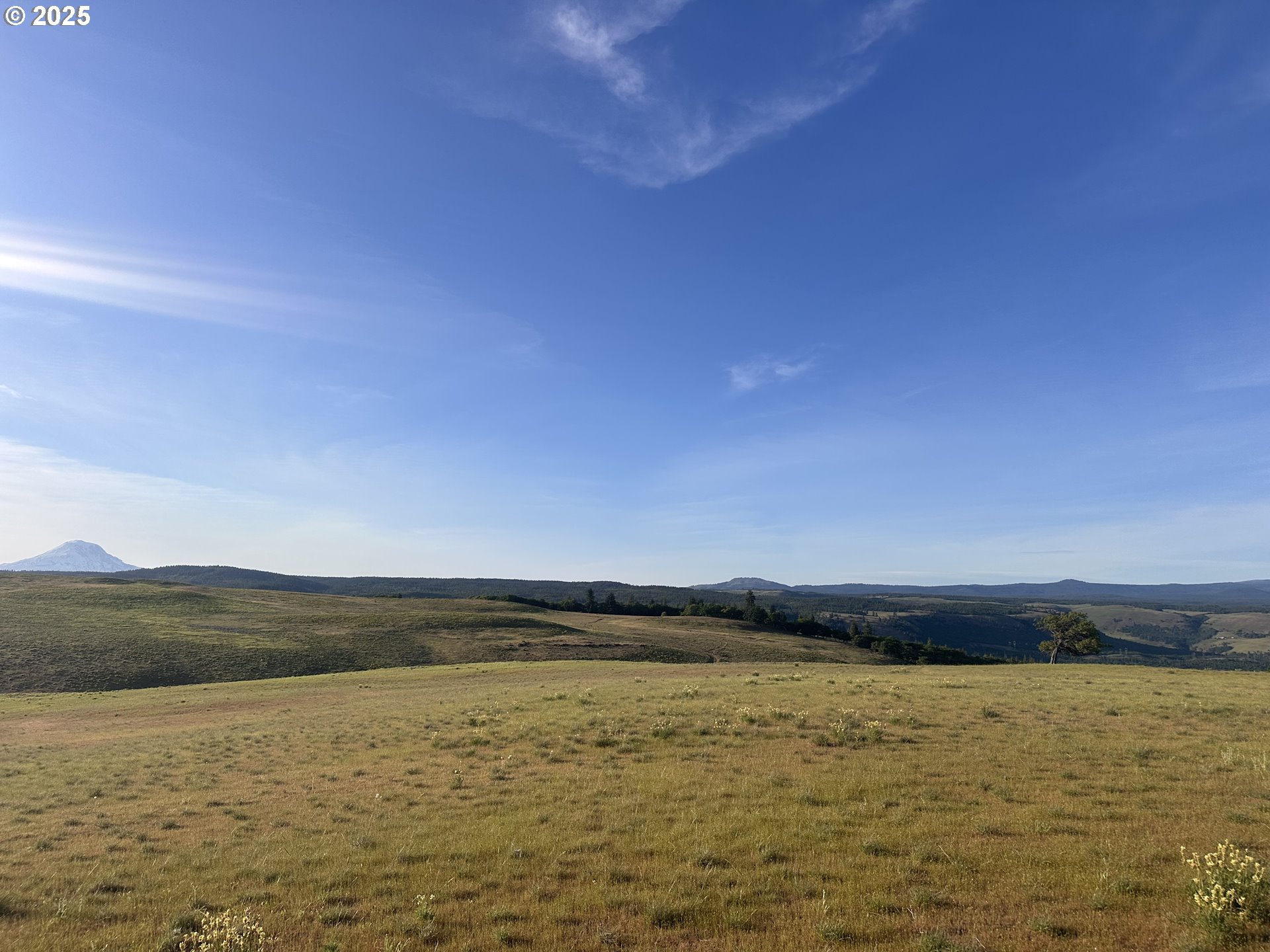 Schilling Road Lyle, WA 98635 - Photo 26 of 27