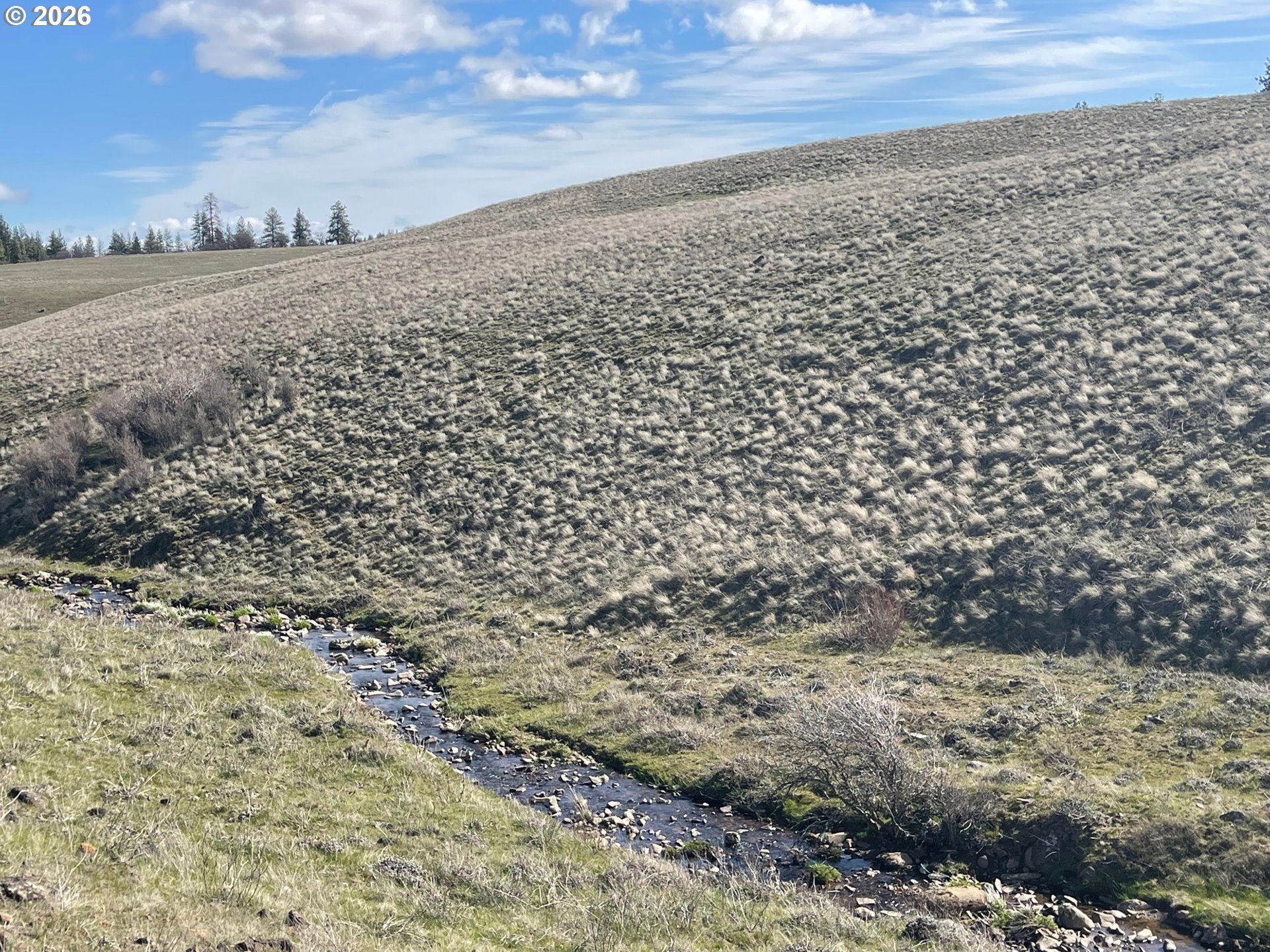 Schilling Road Lyle, WA 98635 - Photo 27 of 27