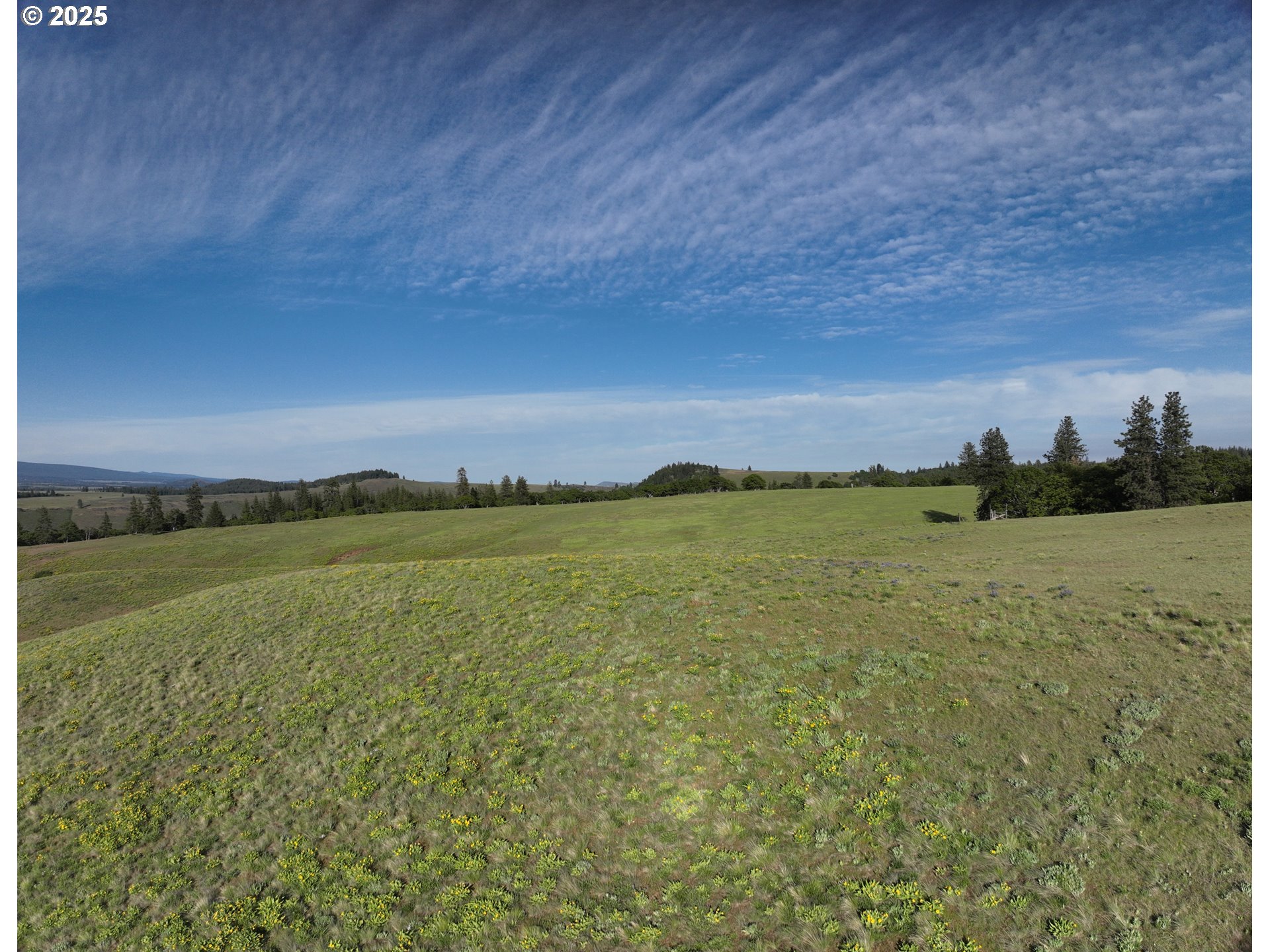 Schilling Road Lyle, WA 98635 - Photo 4 of 27