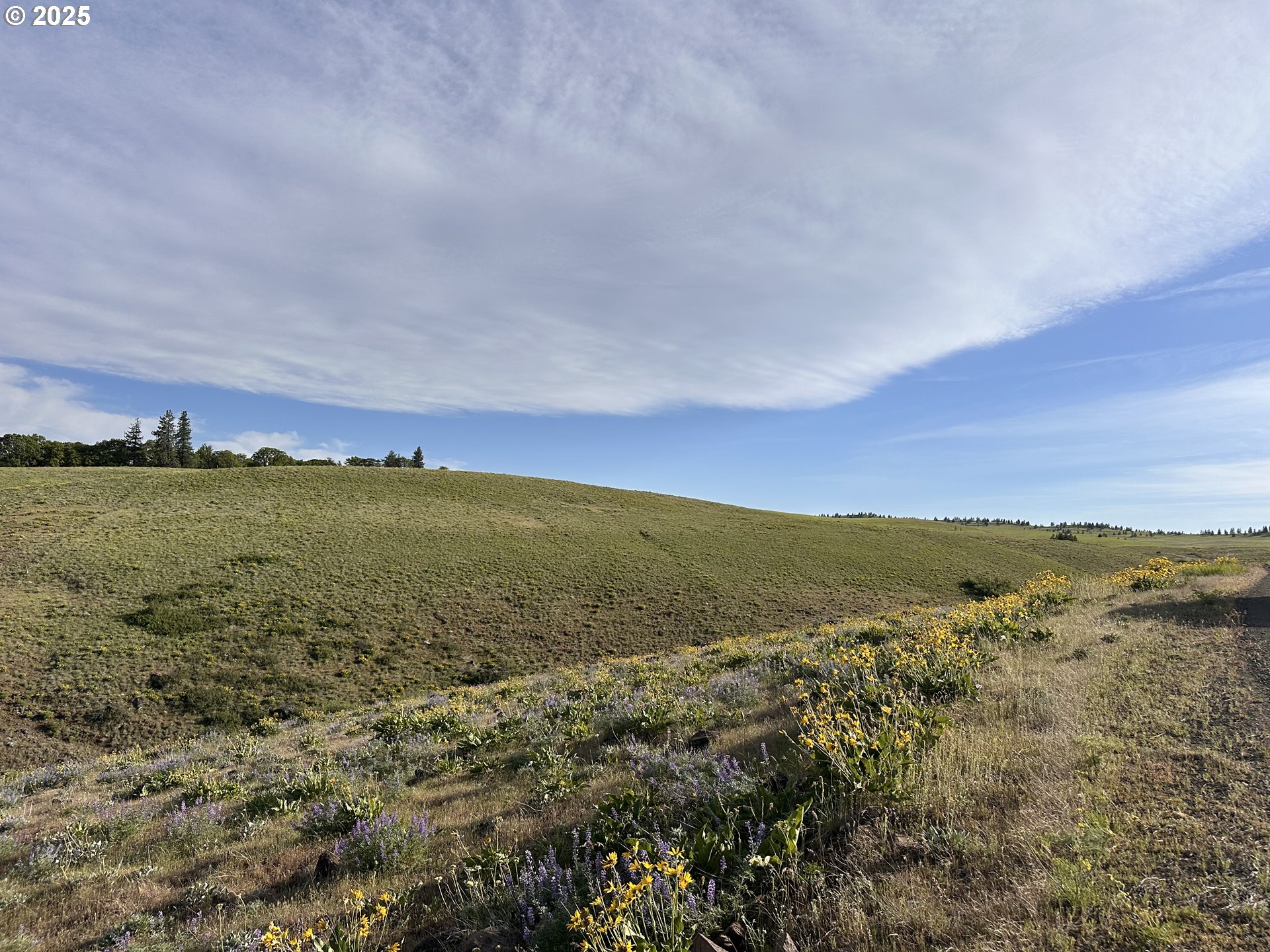 Schilling Road Lyle, WA 98635 - Photo 10 of 27