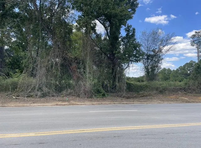 a view of a yard from a window
