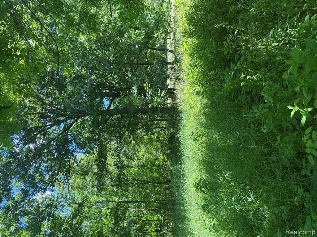 0 Deer Ridge Trail Holly, MI 48442 - Photo 14 of 14