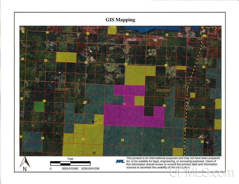 Tbd Zorich Road Bessemer, MI 49911 - Photo 1 of 1
