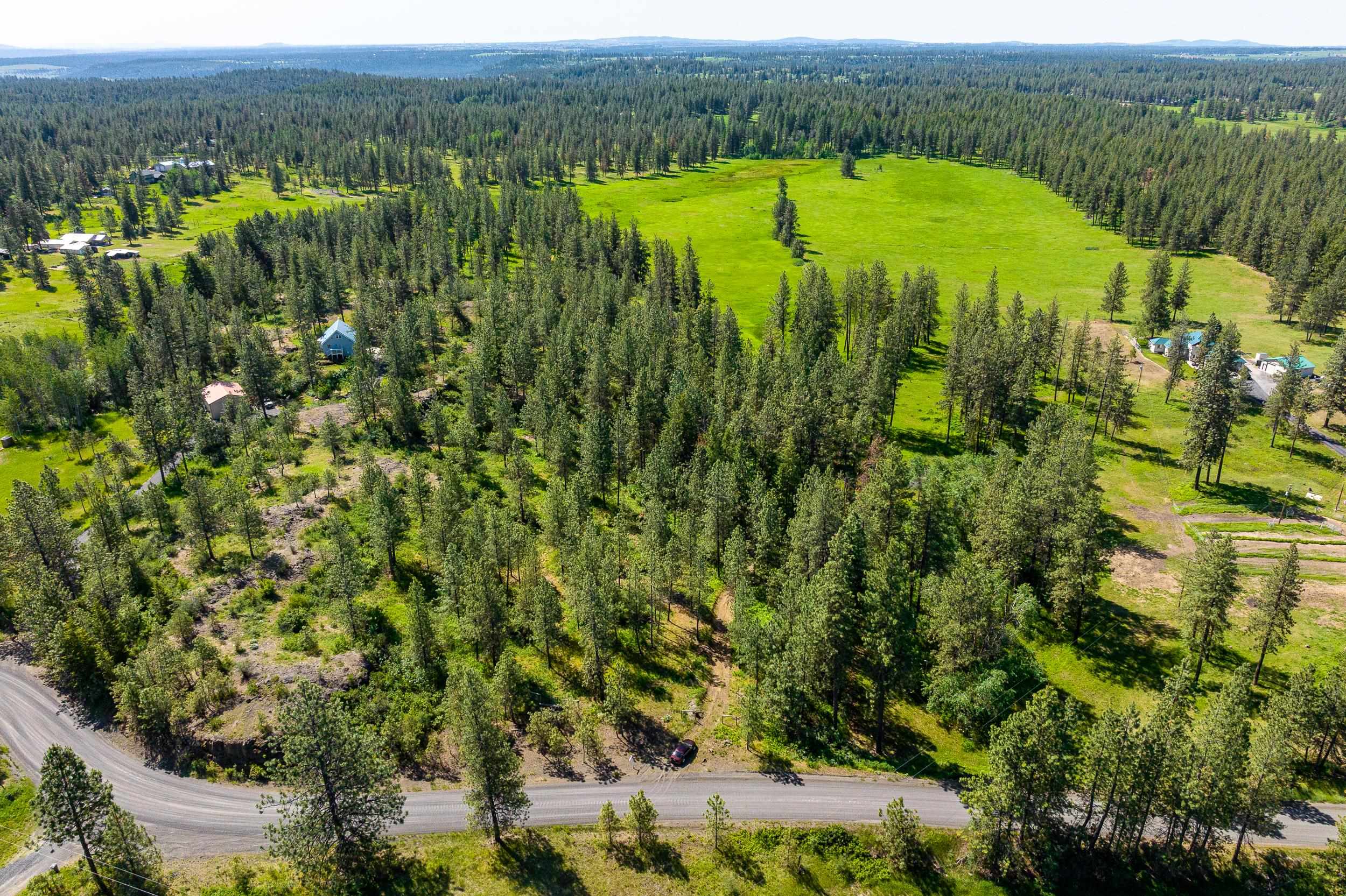 Nine West Pine Bluff Road Nine Mile Falls, WA 99026 - Photo 6 of 26