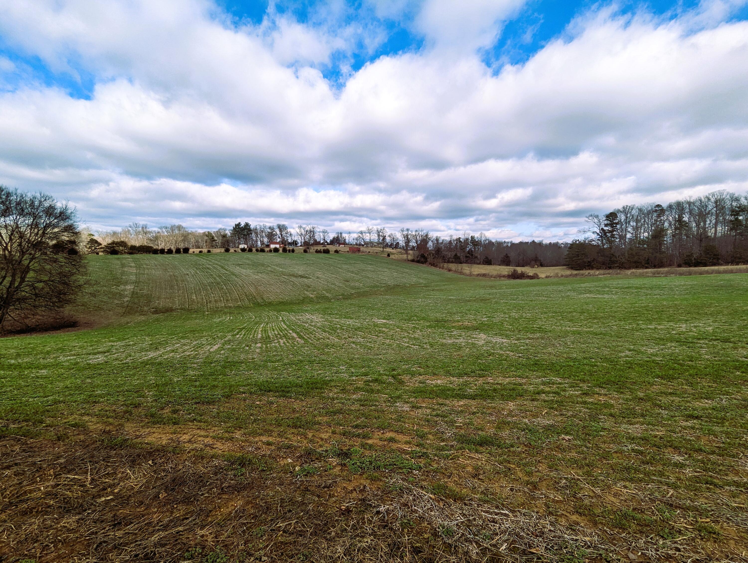6437 Poplar Springs Road Greeneville, TN 37743 - Photo 13 of 26 PXL_20230120_155334765