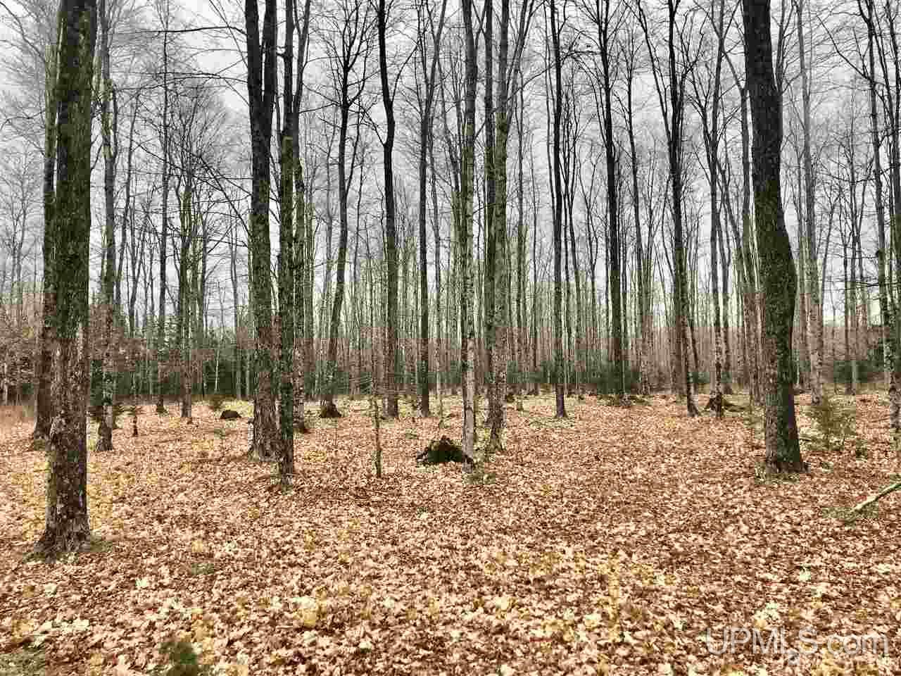 4194 South RR Road Manistique, MI 49854 - Photo 17 of 18 Gallery Image 17