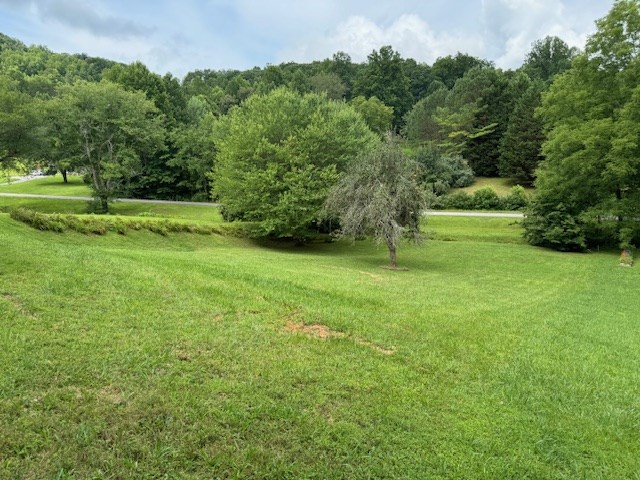 53 Ryan Road Blairsville, GA 30512 - Photo 12 of 12 Gallery Image 12