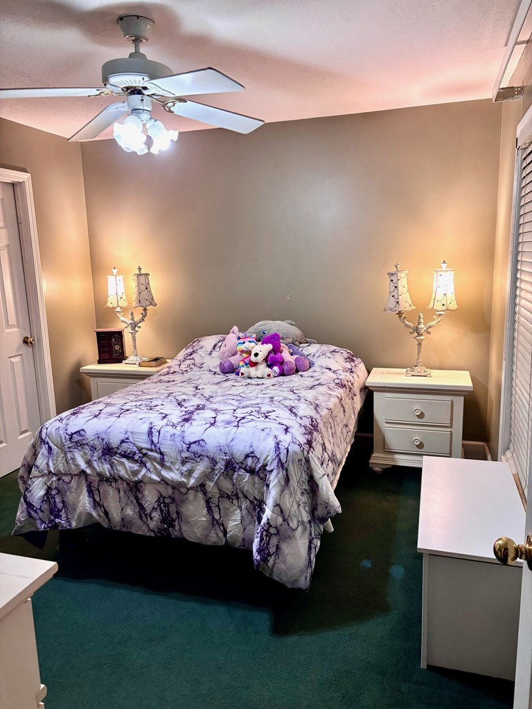 53 Ryan Road Blairsville, GA 30512 - Photo 6 of 12 Gallery Image 6
