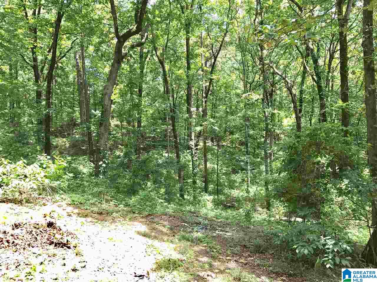 1396 Sequoia Trail Alabaster, AL 35007 - Photo 39 of 42